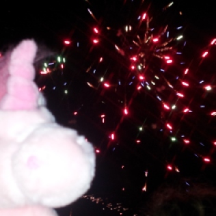 Lily fête la nouvelle année ! Bonheur, imagination, création, magie pour 2014 !